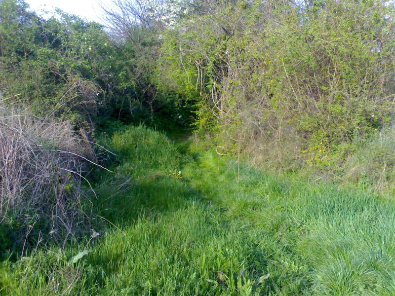 200704091793 .jpg